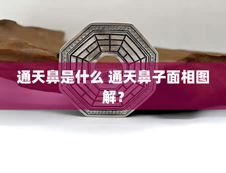 通天鼻是什么 通天鼻子面相图解？