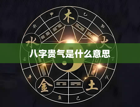 八字贵气是什么意思