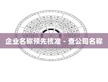 企业名称预先核准 - 查公司名称