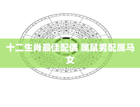 十二生肖最佳配偶 属鼠男配属马女