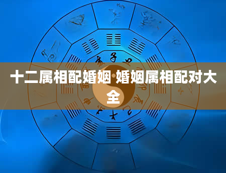 十二属相配婚姻 婚姻属相配对大全