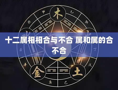 十二属相相合与不合 属和属的合不合