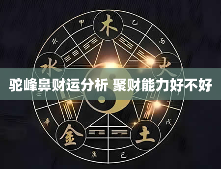 驼峰鼻财运分析 聚财能力好不好