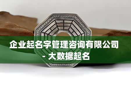 企业起名字管理咨询有限公司 - 大数据起名