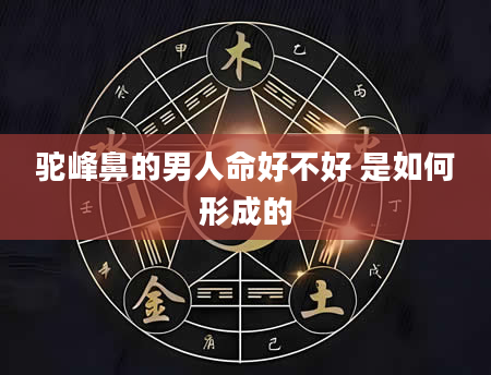 驼峰鼻的男人命好不好 是如何形成的