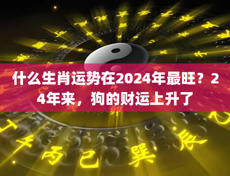 什么生肖运势在2024年最旺？24年来，狗的财运上升了