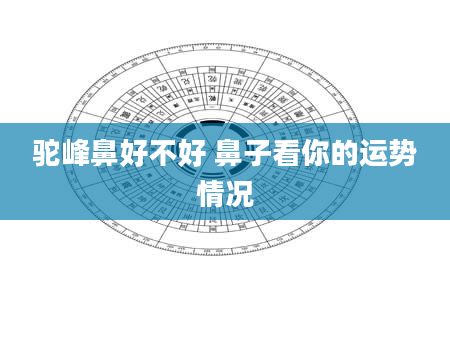 驼峰鼻好不好 鼻子看你的运势情况