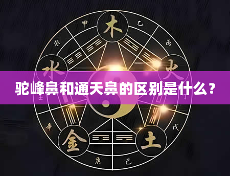 驼峰鼻和通天鼻的区别是什么？