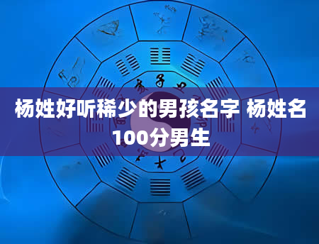 杨姓好听稀少的男孩名字 杨姓名100分男生