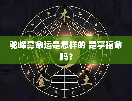 驼峰鼻命运是怎样的 是享福命吗？