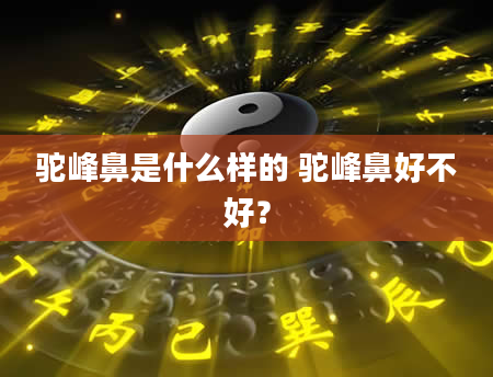 驼峰鼻是什么样的 驼峰鼻好不好？