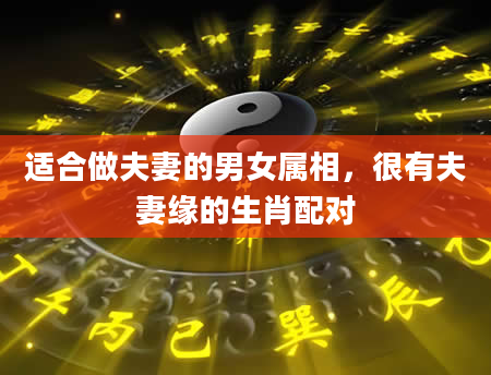 适合做夫妻的男女属相，很有夫妻缘的生肖配对