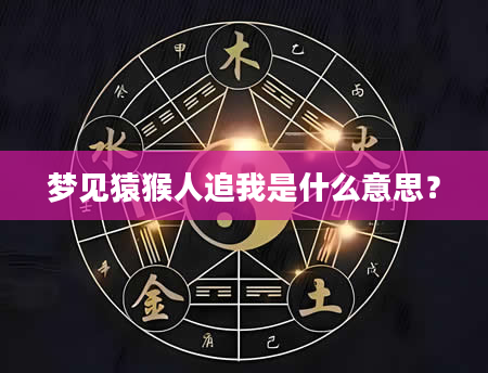 梦见猿猴人追我是什么意思？