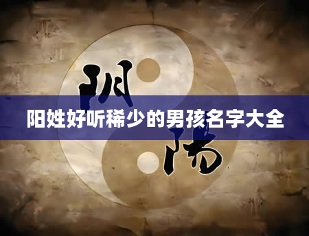 阳姓好听稀少的男孩名字大全