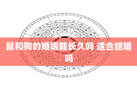 鼠和狗的婚姻能长久吗 适合结婚吗
