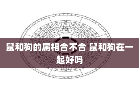 鼠和狗的属相合不合 鼠和狗在一起好吗