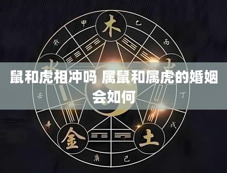 鼠和虎相冲吗 属鼠和属虎的婚姻会如何