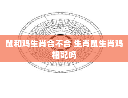 鼠和鸡生肖合不合 生肖鼠生肖鸡相配吗