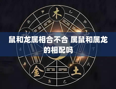 鼠和龙属相合不合 属鼠和属龙的相配吗