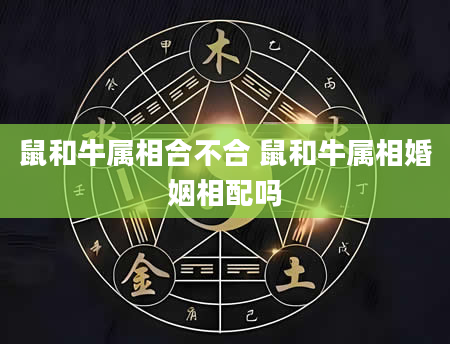 鼠和牛属相合不合 鼠和牛属相婚姻相配吗