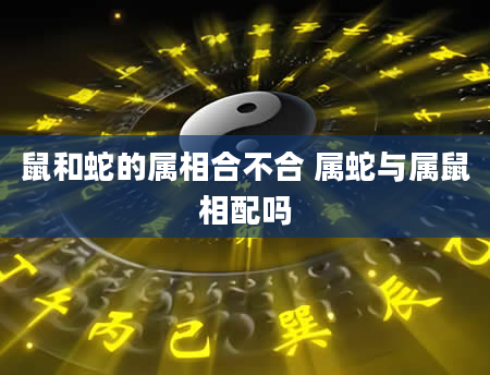 鼠和蛇的属相合不合 属蛇与属鼠相配吗
