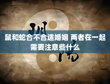 鼠和蛇合不合适婚姻 两者在一起需要注意些什么