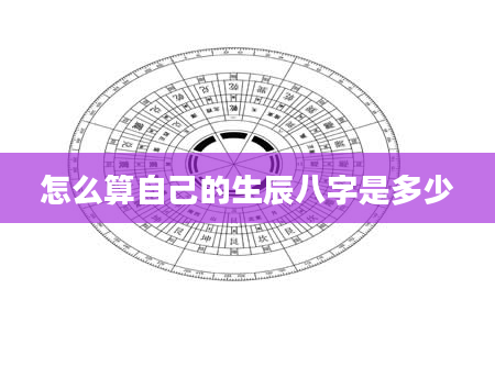怎么算自己的生辰八字是多少