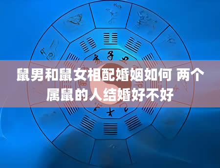 鼠男和鼠女相配婚姻如何 两个属鼠的人结婚好不好
