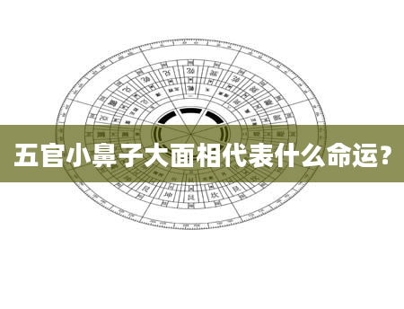 五官小鼻子大面相代表什么命运？