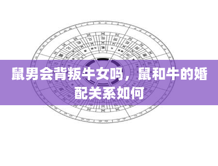 鼠男会背叛牛女吗，鼠和牛的婚配关系如何