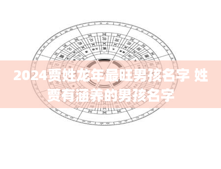 2024贾姓龙年最旺男孩名字 姓贾有涵养的男孩名字