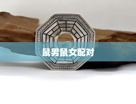 鼠男鼠女配对