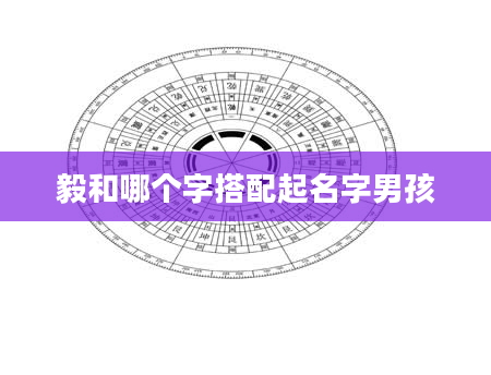 毅和哪个字搭配起名字男孩