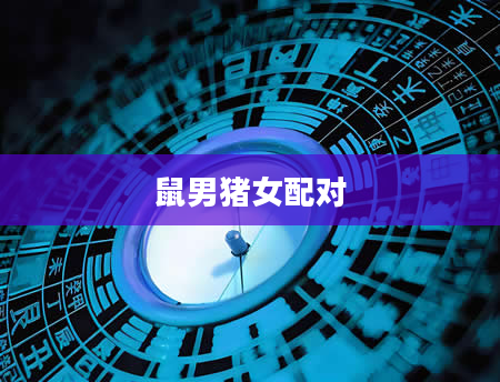 鼠男猪女配对