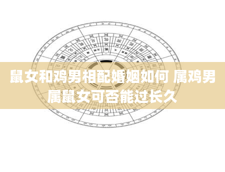 鼠女和鸡男相配婚姻如何 属鸡男属鼠女可否能过长久