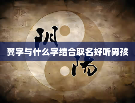 翼字与什么字结合取名好听男孩