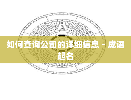 如何查询公司的详细信息 - 成语起名