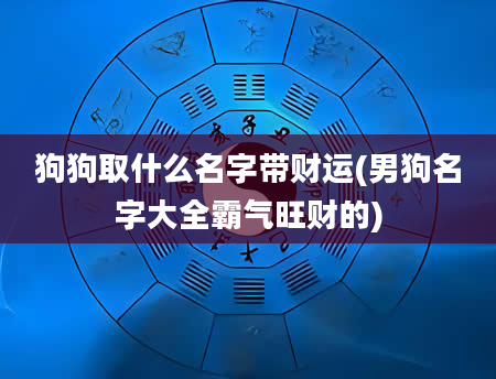 狗狗取什么名字带财运(男狗名字大全霸气旺财的)