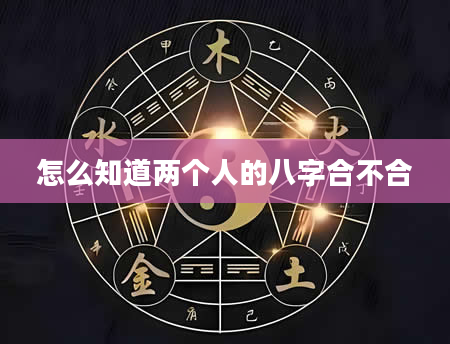 怎么知道两个人的八字合不合