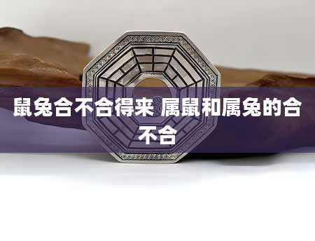 鼠兔合不合得来 属鼠和属兔的合不合