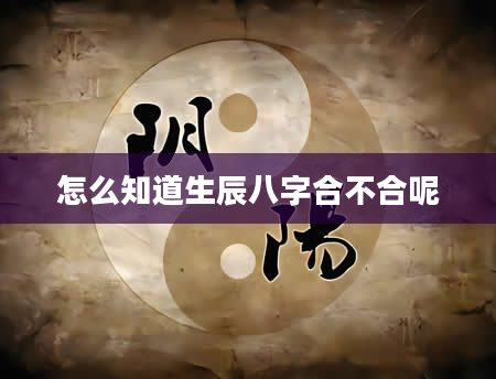 怎么知道生辰八字合不合呢