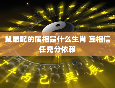 鼠最配的属相是什么生肖 互相信任充分依赖