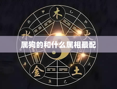 属狗的和什么属相最配