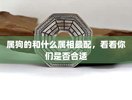 属狗的和什么属相最配，看看你们是否合适