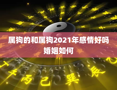 属狗的和属狗2021年感情好吗婚姻如何