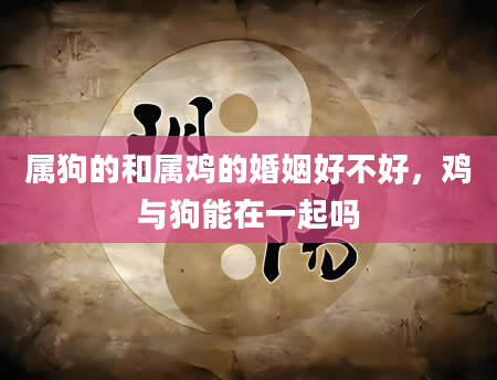 属狗的和属鸡的婚姻好不好，鸡与狗能在一起吗