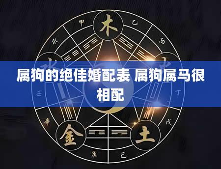属狗的绝佳婚配表 属狗属马很相配