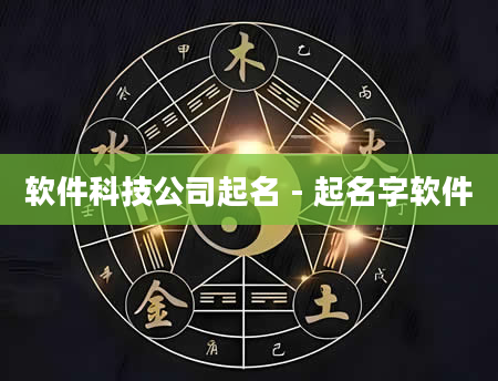 软件科技公司起名 - 起名字软件