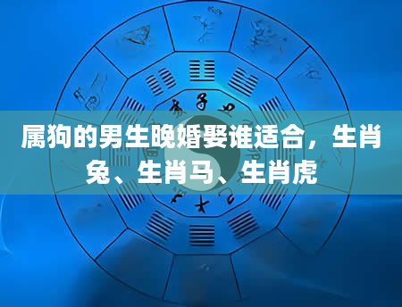 属狗的男生晚婚娶谁适合，生肖兔、生肖马、生肖虎