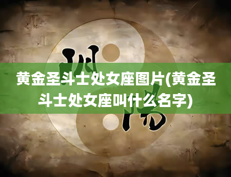 黄金圣斗士处女座图片(黄金圣斗士处女座叫什么名字)